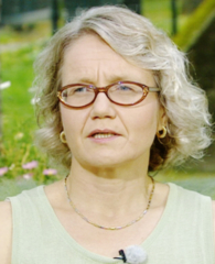 Katri Jalava